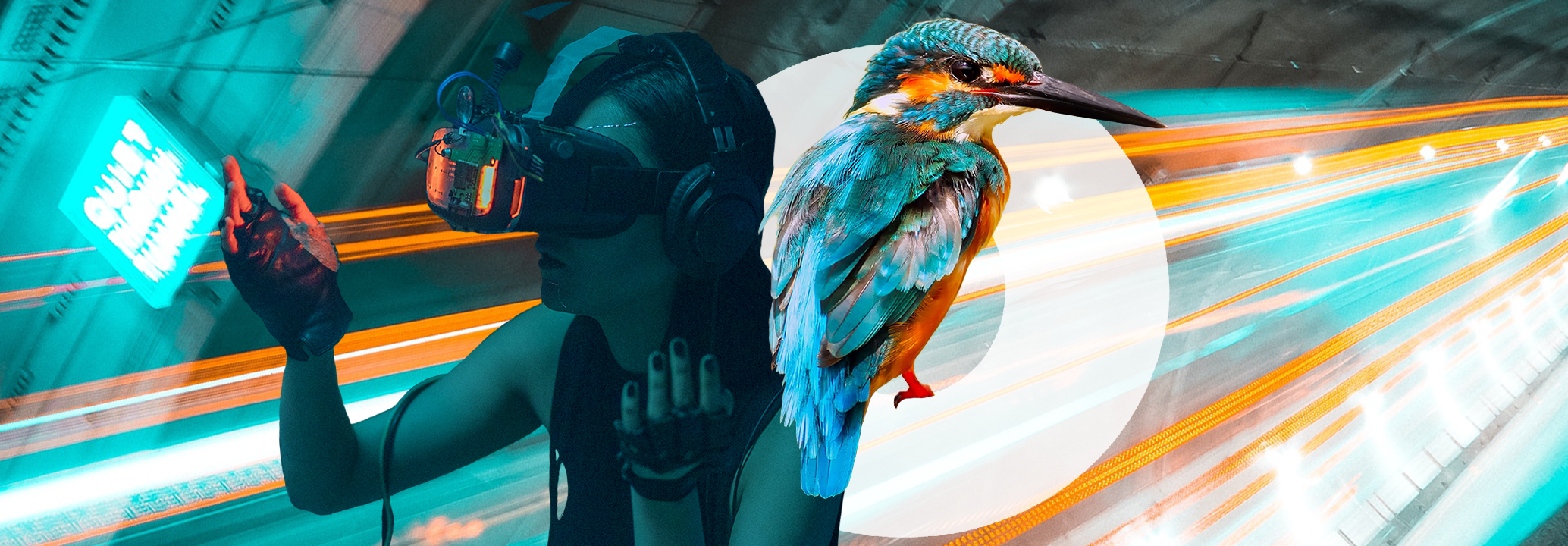 Photot des membres de l'équipe.